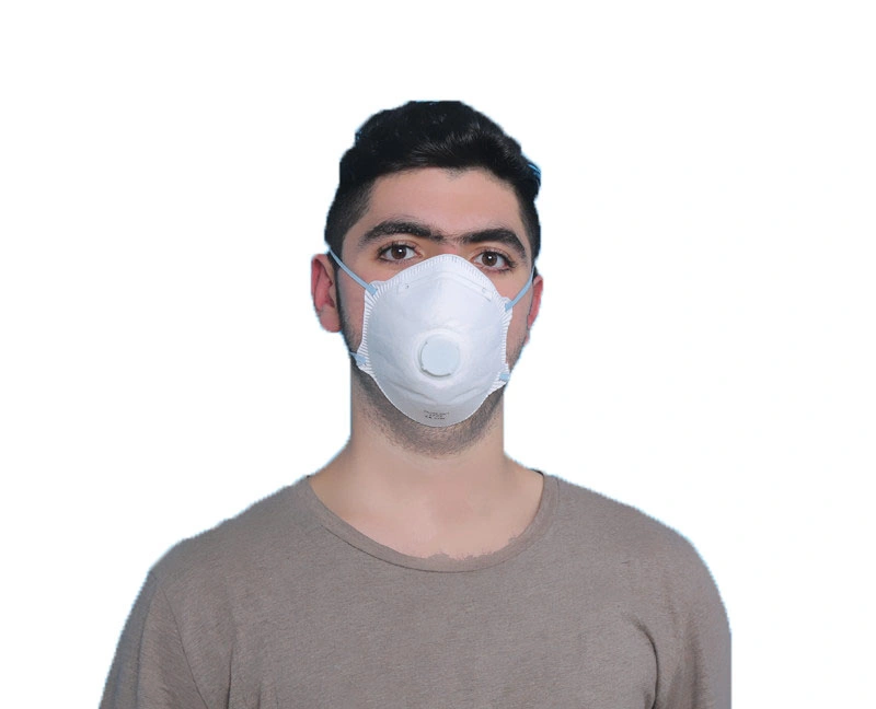 Anti Pollution and Dust Disposable FFP1 FFP2 Particulate Filtering Half Mask for Industrial Protection